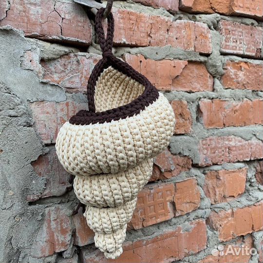 Ракушки интерьерные