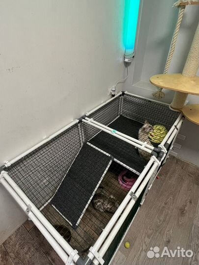 Вольер для котят и кошек OctCat модульный