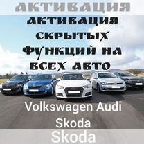 Активация скрытых функций Skoda,Audi, Volkswagen, Санкт-Петербург