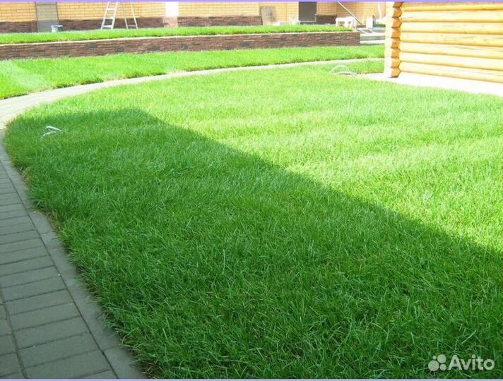 Стандарт рулонный газон