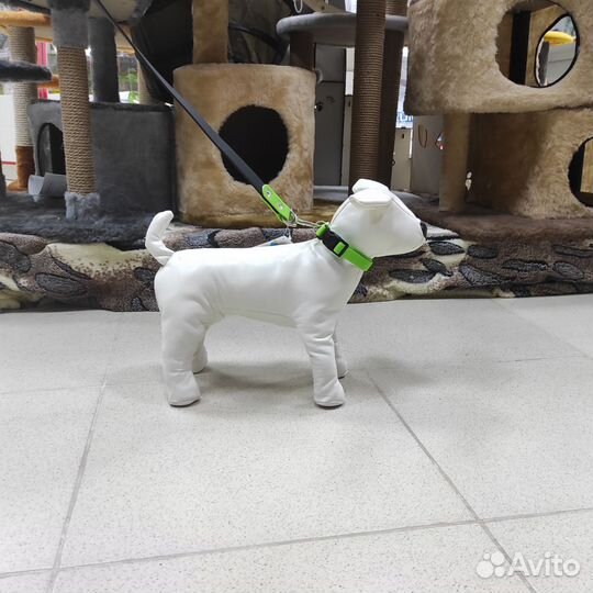 Ошейник и поводок