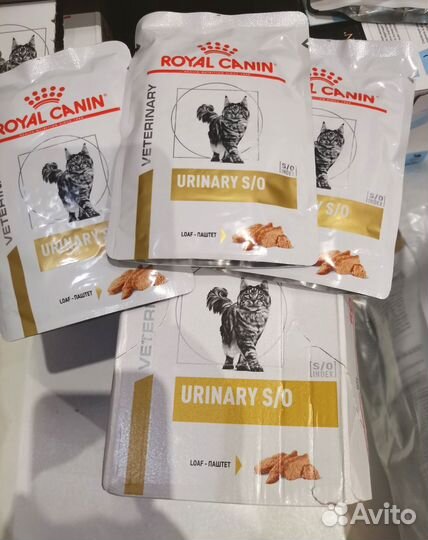 Royal canin urinary влажный корм для котов