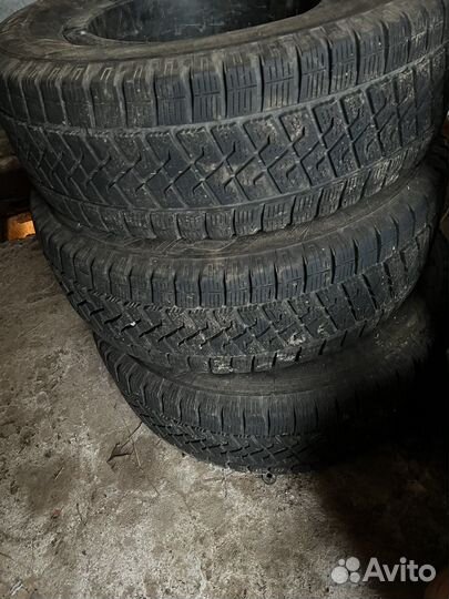 Lassa Wintus 2 R16C 204