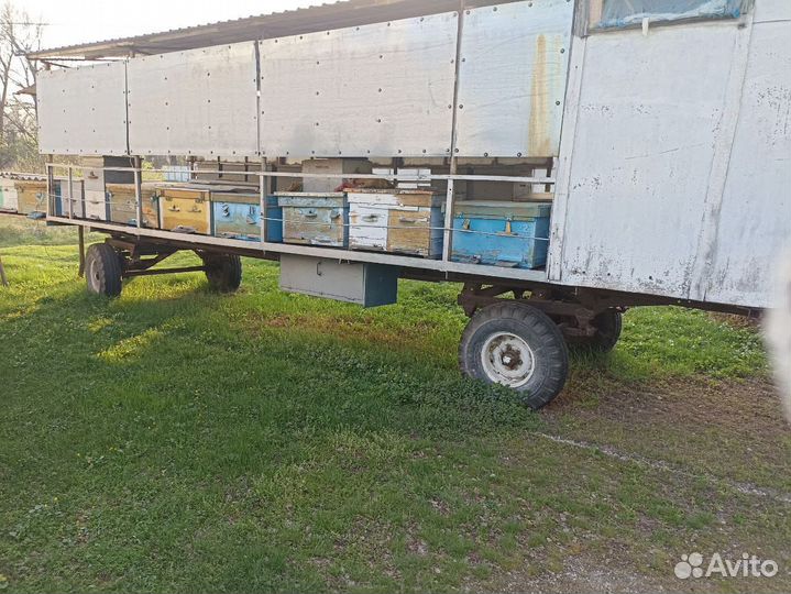 Продам пчелосемьи