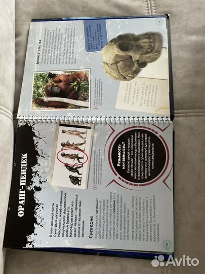 Р. Мэтьюс Неразгаданное. Самые необъяснимые тайны