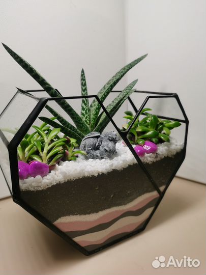 Флорариум/цветы и decor/стильный,красивый подарок