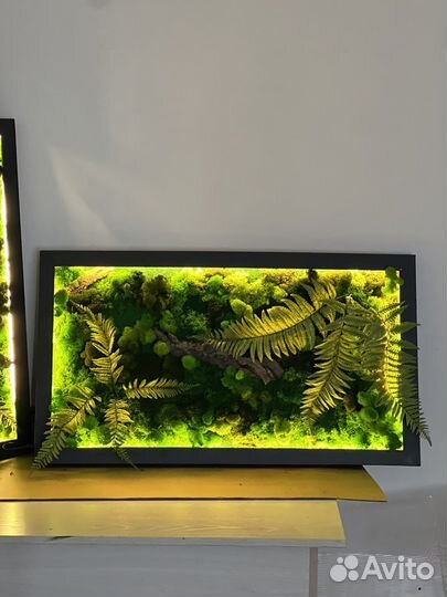 Картина из мха(ягель) / подарки/панно