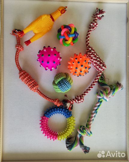 Игрушки для собак