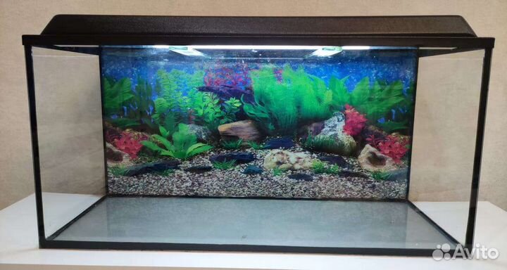 Аквариум