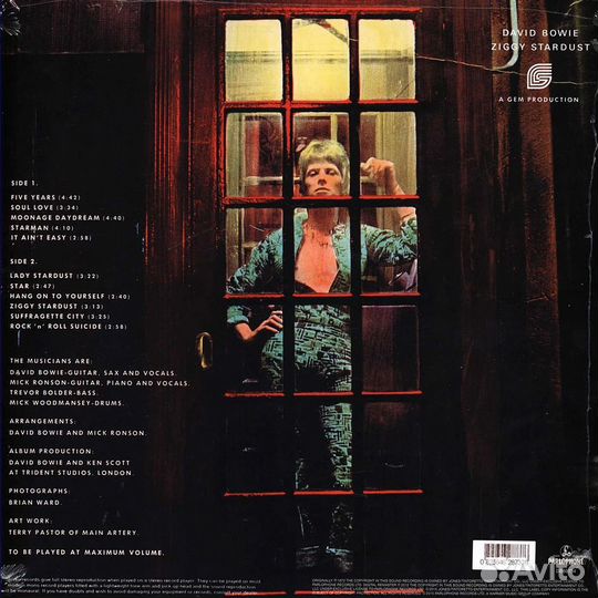 David Bowie -The Rise And Fall Of Ziggy Stardust A