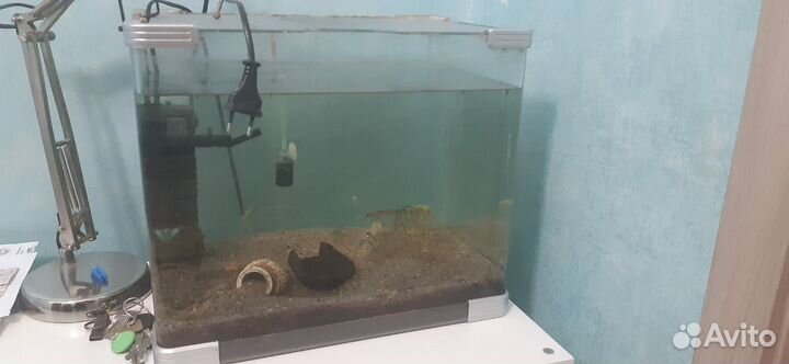 Аквариум 30 литров Arcadia + фильтр