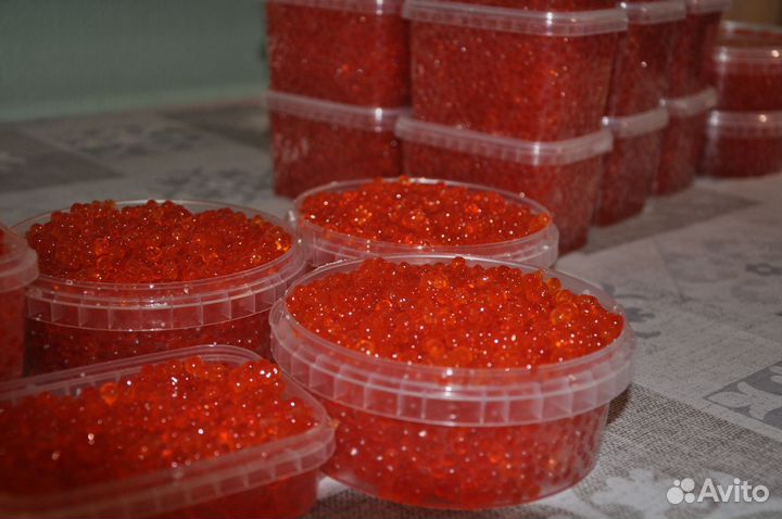 Икра красная Камчатка 2023