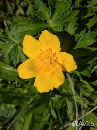 Советский холодильник