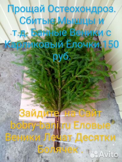 Банные веники