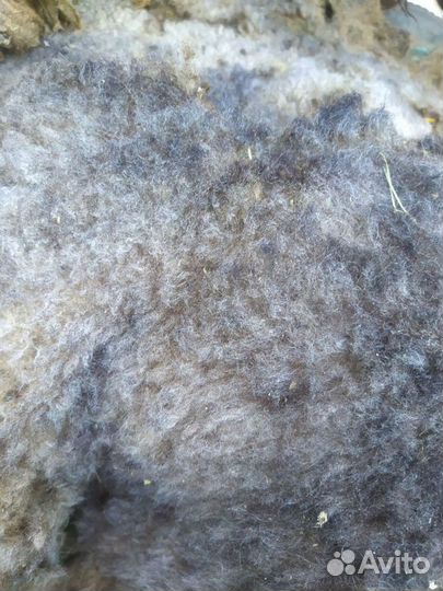 Шерсть овечья