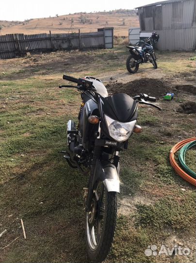 Alpha sport rs12 lux