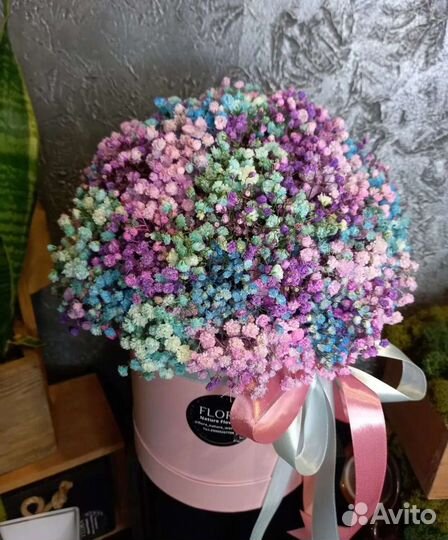 Гипсофила в коробке