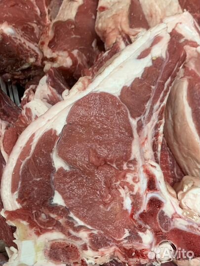 Мясо. Говядина. Баранина халяль