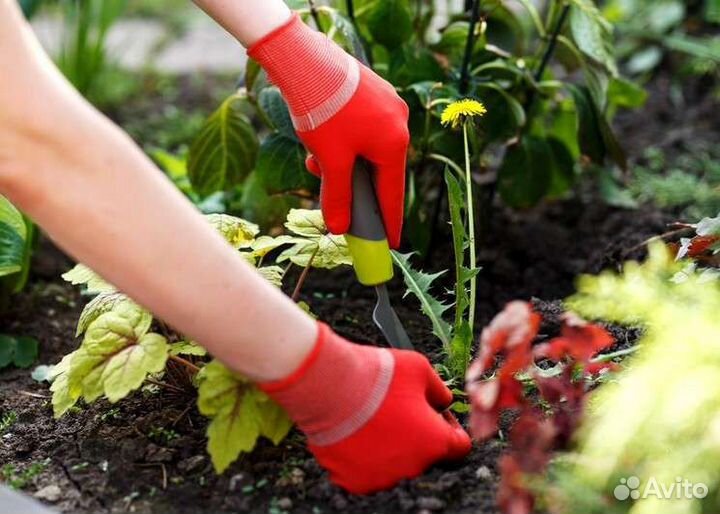 Прополка сорняков, уход за садом и огородом