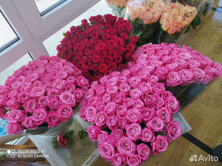 101 роза 70 см и 51 роза 70 см