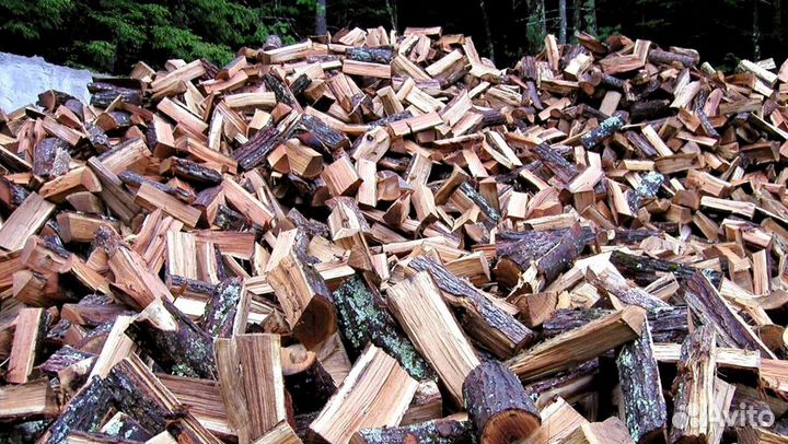 Дрова в область