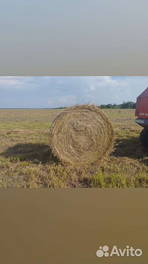 Сено в рулонах 2023 с доставкой