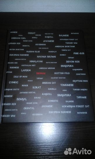 101 cataclysms rachael hale