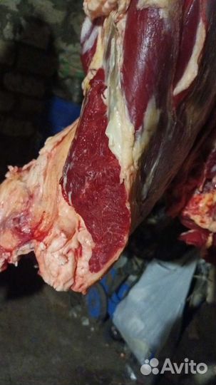 Продаю говядину,халяль