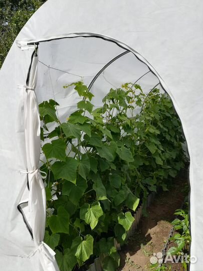 Чудотеплица