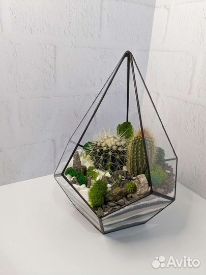 Флорариум с кактусами и суккулентами