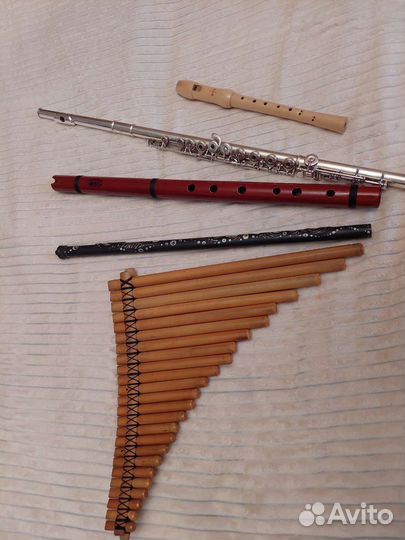 Репетитор по флейте