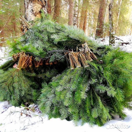 Веники дубовые, березовые