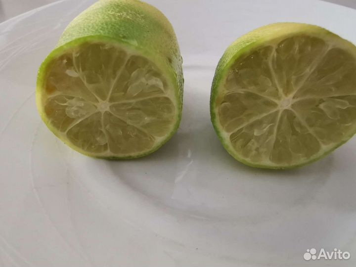 Микроцитрусы