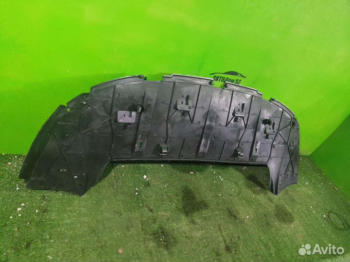 Защита переднего бампера Citroen C4 1