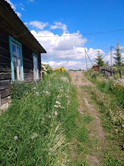 Участок 42 сот. (ИЖС)