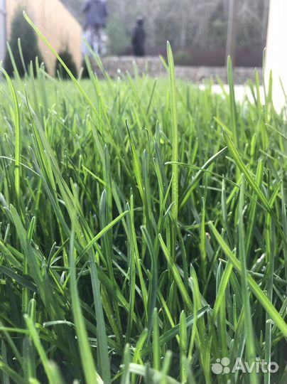 Системы автоматического полива,автополив