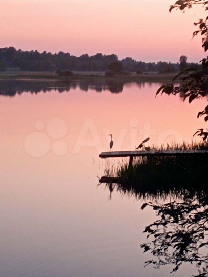 Участок 42 сот. (ИЖС)