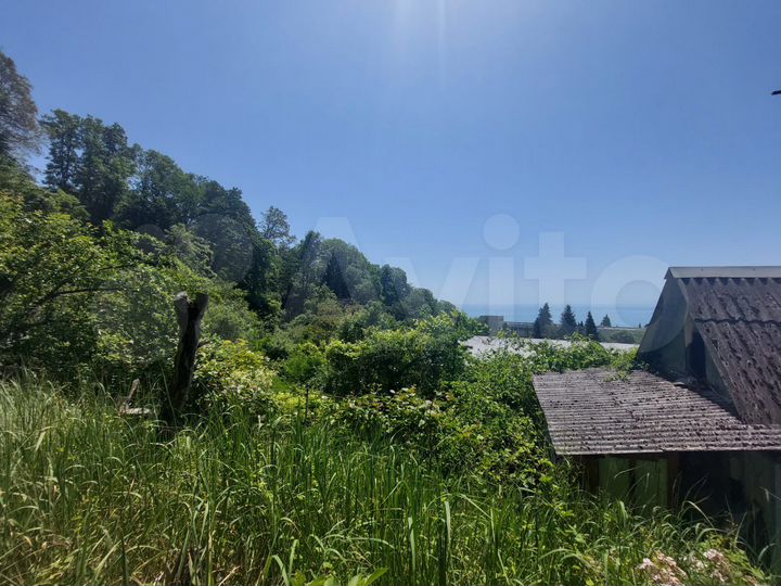 Участок 4,5 сот. (СНТ, ДНП)