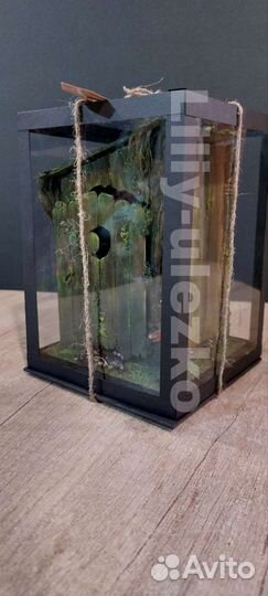 Туалет Шрека