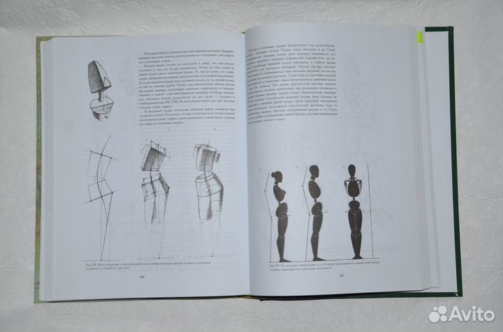 Основы учебного академического рисунка. Н. Ли