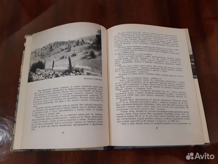 Под созвездием южного креста 1958 г