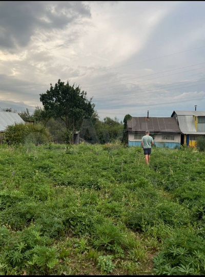 Участок 6 сот. (СНТ, ДНП)