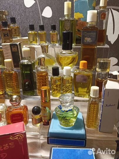 Кредо Тайна Рижанки Рідна Україна Шахразада