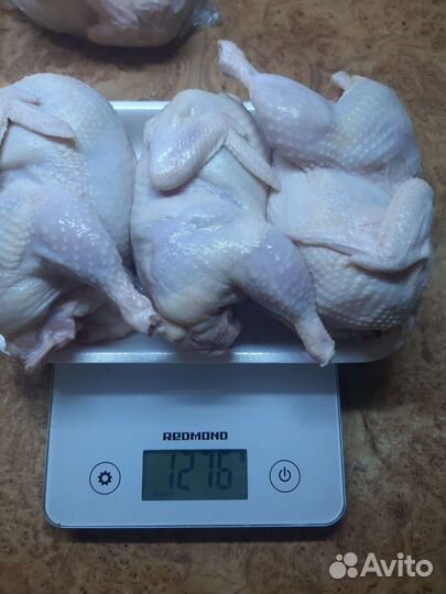 Перепела, инкубационное яйцо