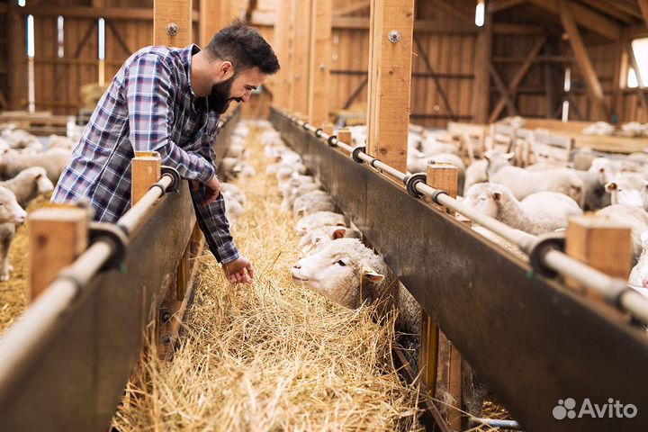 Вахта жилье животновод Пермь