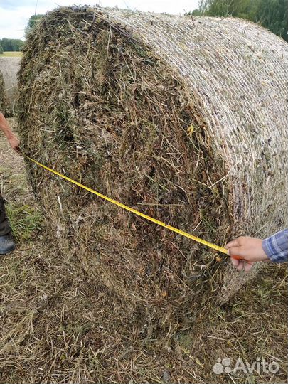 Сено в тюках с доставкой в Томск(450-470кг)