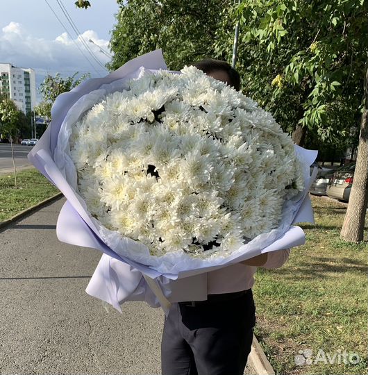 Гигантский букет хризантем