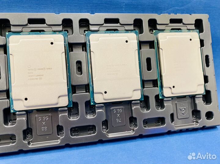 Xeon Gold 6142 16 ядер SR3AY