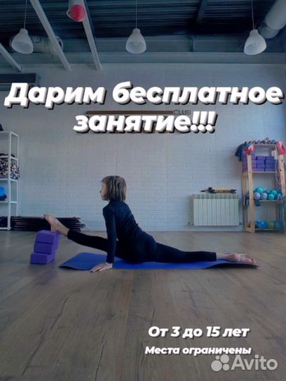 Гимнастическая школа