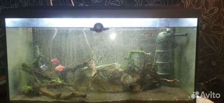 Аквариум